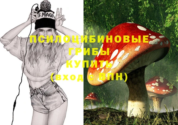 марки lsd Краснослободск