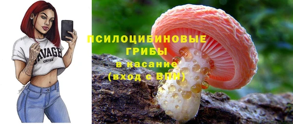 а пвп мука Корсаков