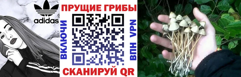 Галлюциногенные грибы прущие грибы  Красноармейск 