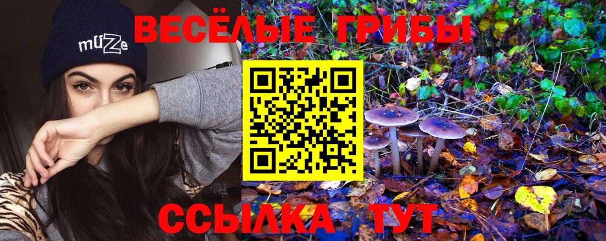 Красноармейск  Псилоцибиновые грибы прущие грибы  Вход с VPN  Галлюциногенные грибы Psilocybine cubensis 
