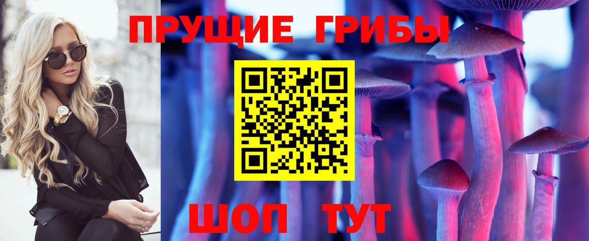 Псилоцибиновые грибы GOLDEN TEACHER Красноармейск